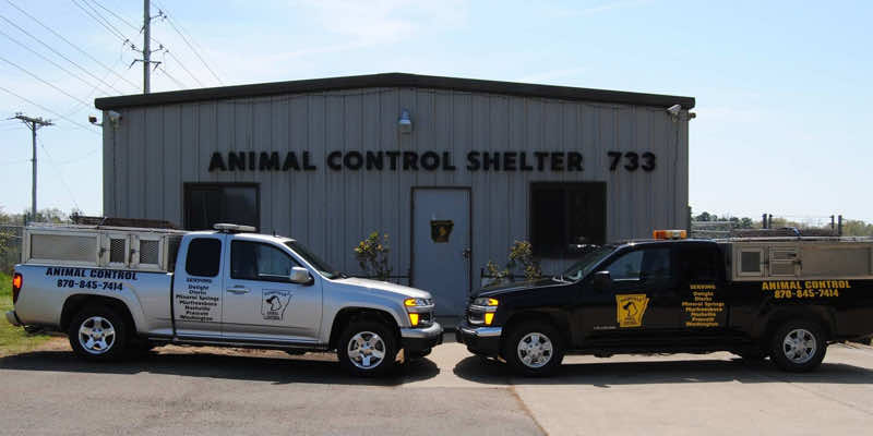 Animal Control